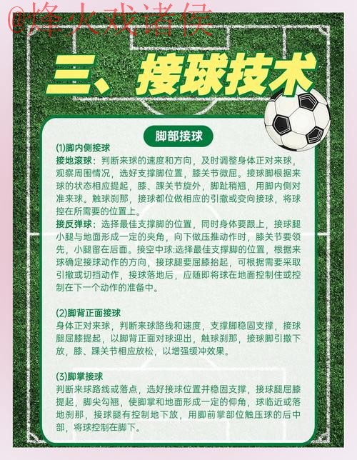 深入解析世界杯滚球教程及其最新网址